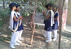 Tree-Gardern-Award-KYBConmat-A Tree-Gardern-Award-KYBConmat-A