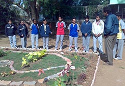 Tree-Gardern-Award-KYBConmat-B Tree-Gardern-Award-KYBConmat-B